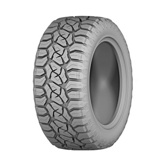 Thailand Passenger & Light Truck